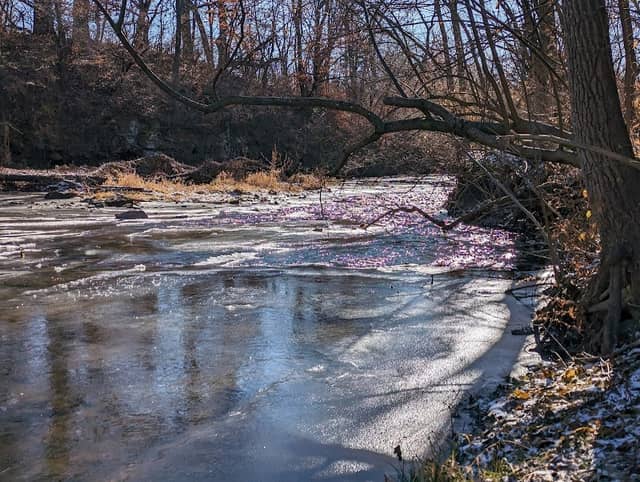 Crow Creek Dog Park - Image 2