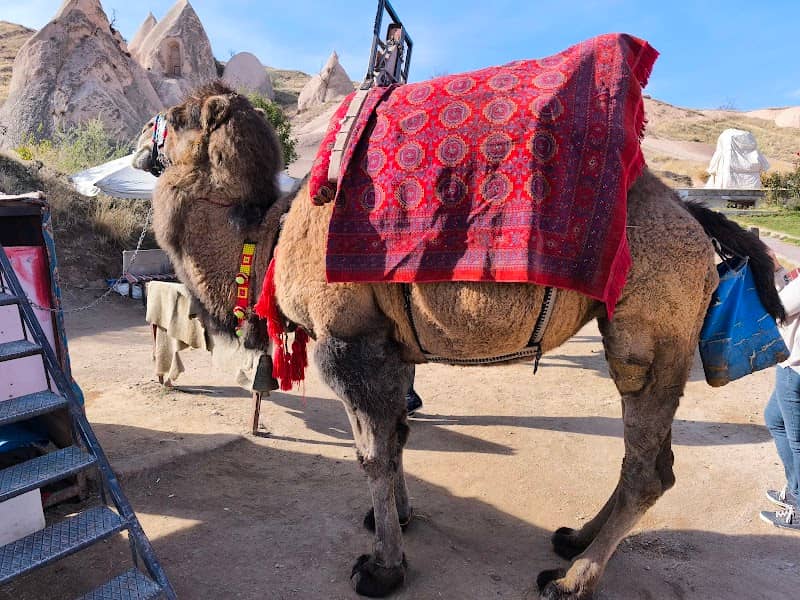 Camel rock Mountain - Image 2