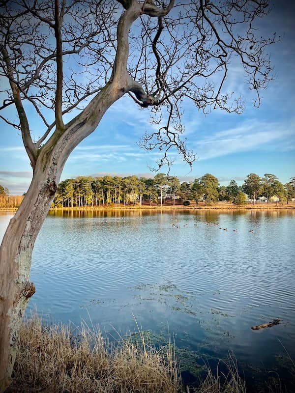 Fort Jackson Greenzone Trail - Image 2