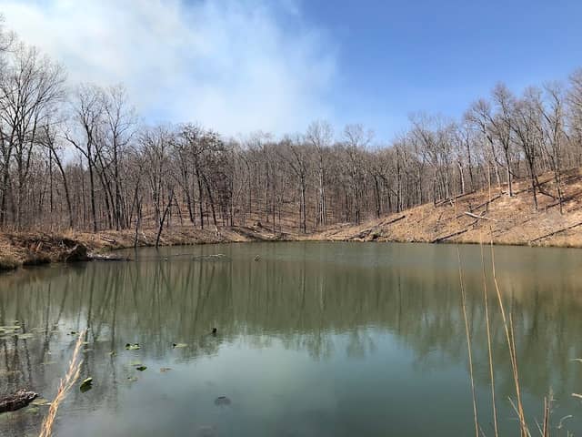 Castor River Conservation Area - Image 2