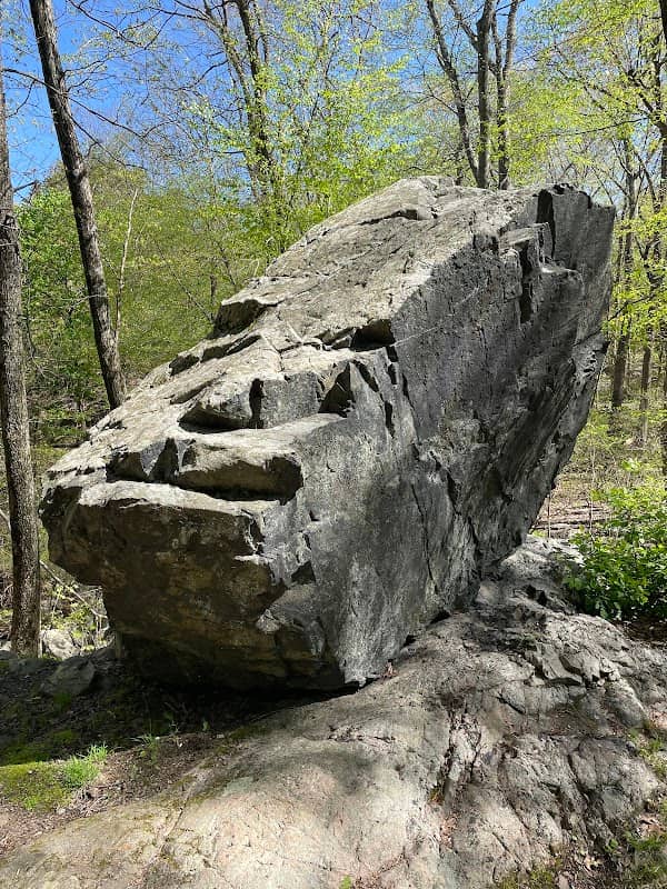 DinosaurRock - Image 1