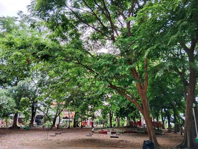 Vava Park - Image 1