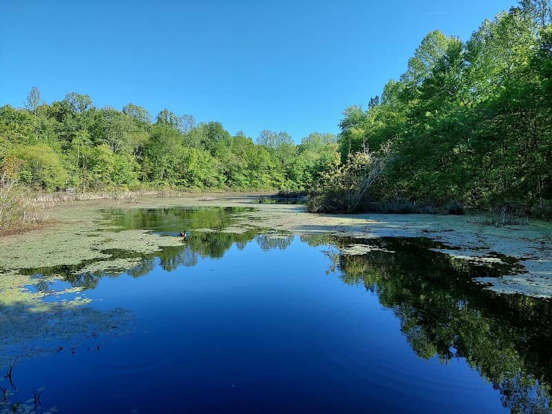 Sloan's Crossing Pond Walk - Image 1