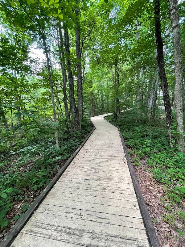 Sloan's Crossing Pond Walk - Image 2