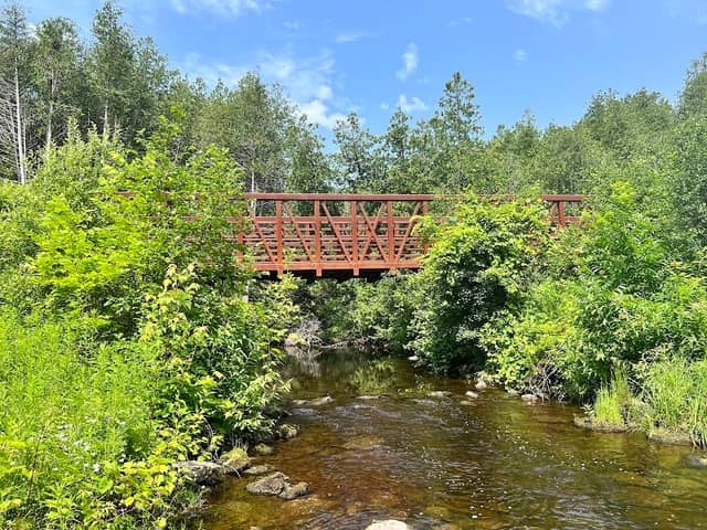 Jackson Creek Meadow Bridge - Image 1