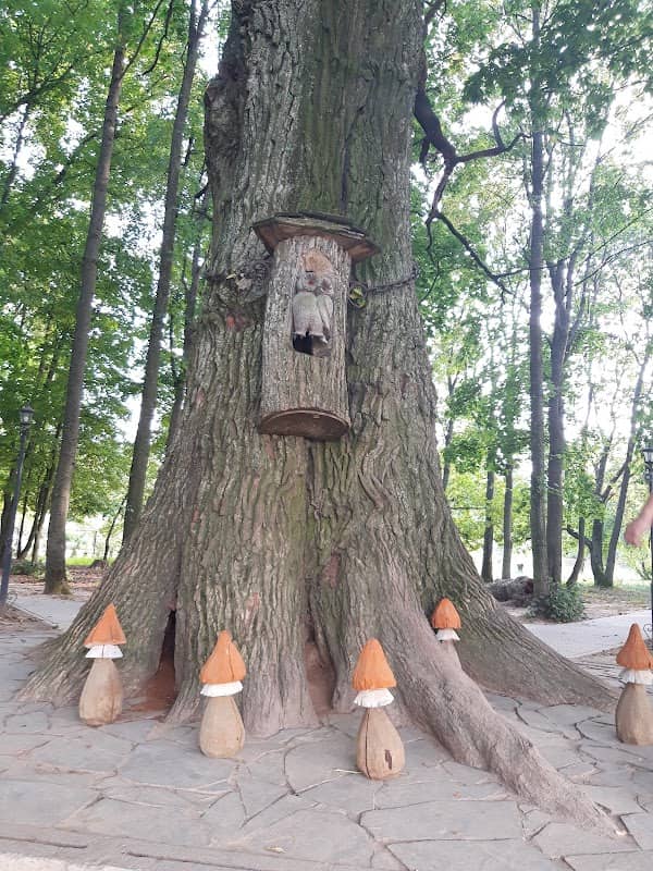 Wish Oak - Image 1