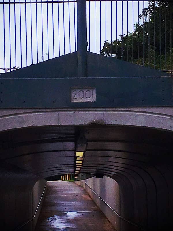 Tammany Trace Tunnel - Image 2