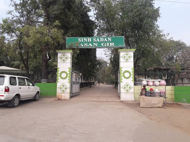 Sasan Gir Museum - Image 1