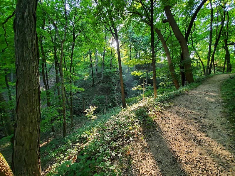 Robinson Park - Image 1