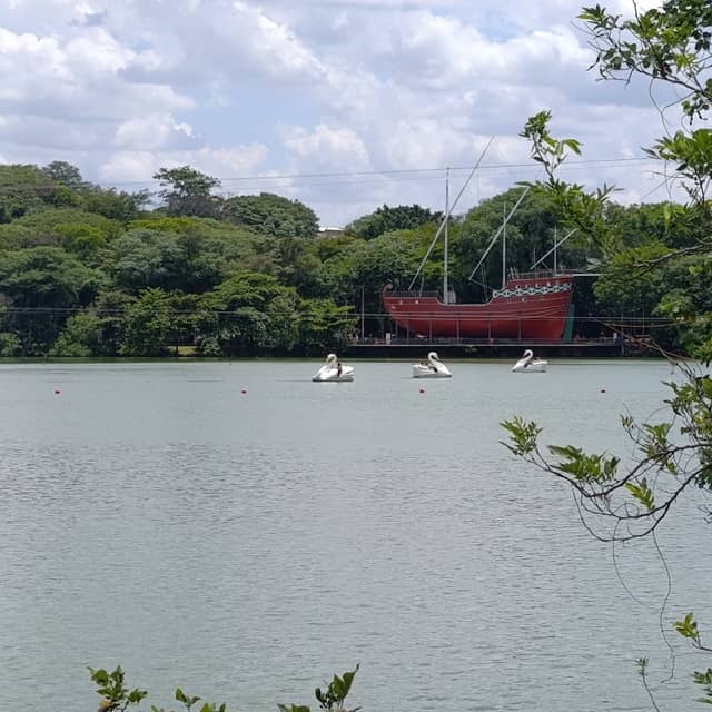 Parque Taquaral - Image 2