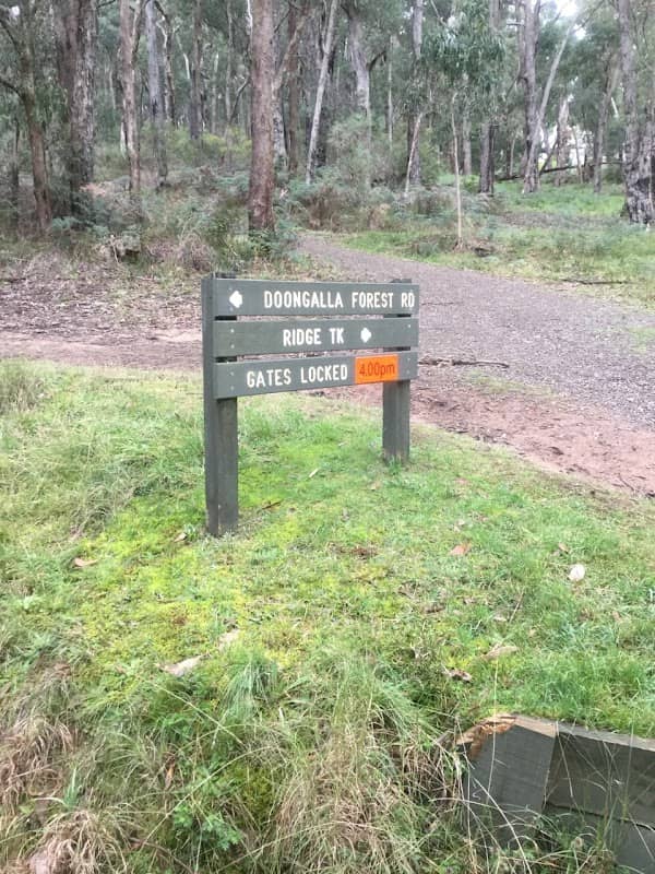 Doongalla Picnic Ground - Image 1