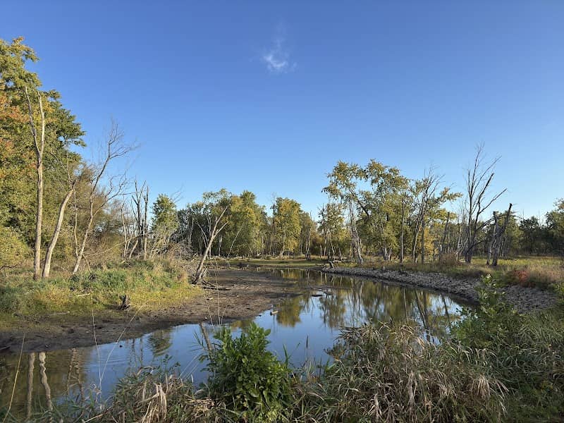 Lake Carina Forest Preserve - Image 2