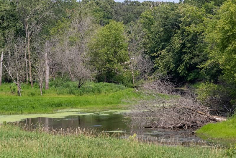 Lake Carina Forest Preserve - Image 1
