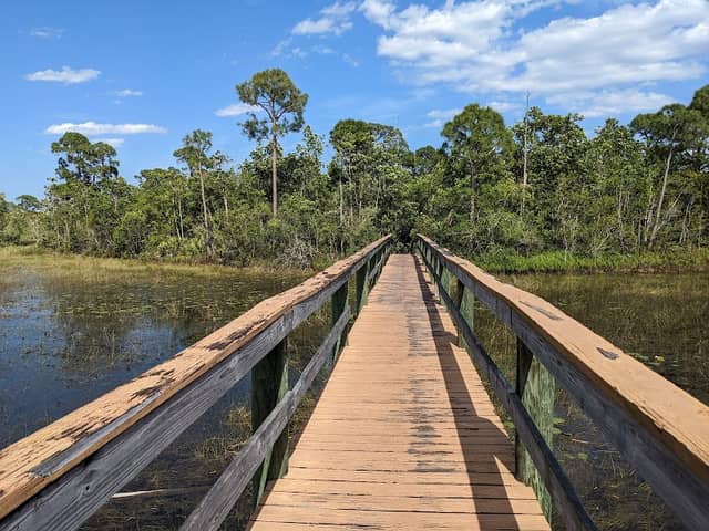 Spruce Bluff Preserve - Image 1