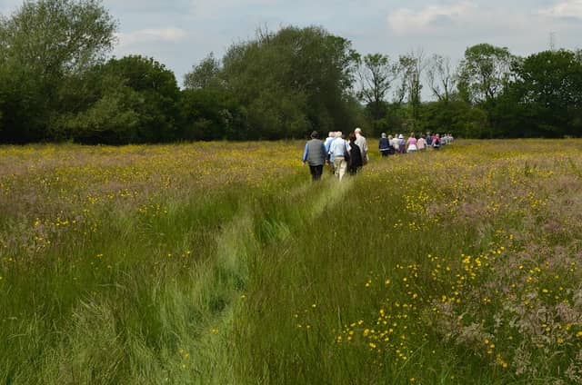 Ratby Meadows - Image 2