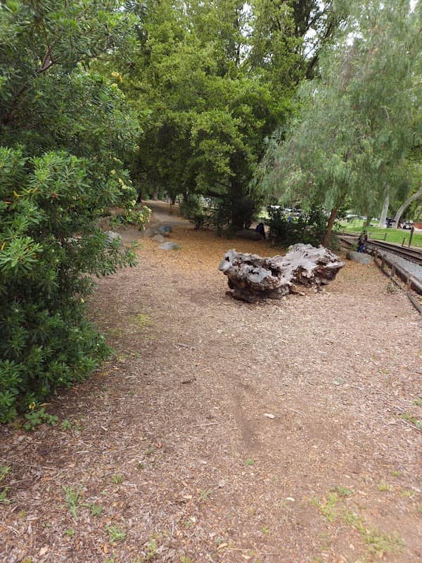 Tree Log - Image 2