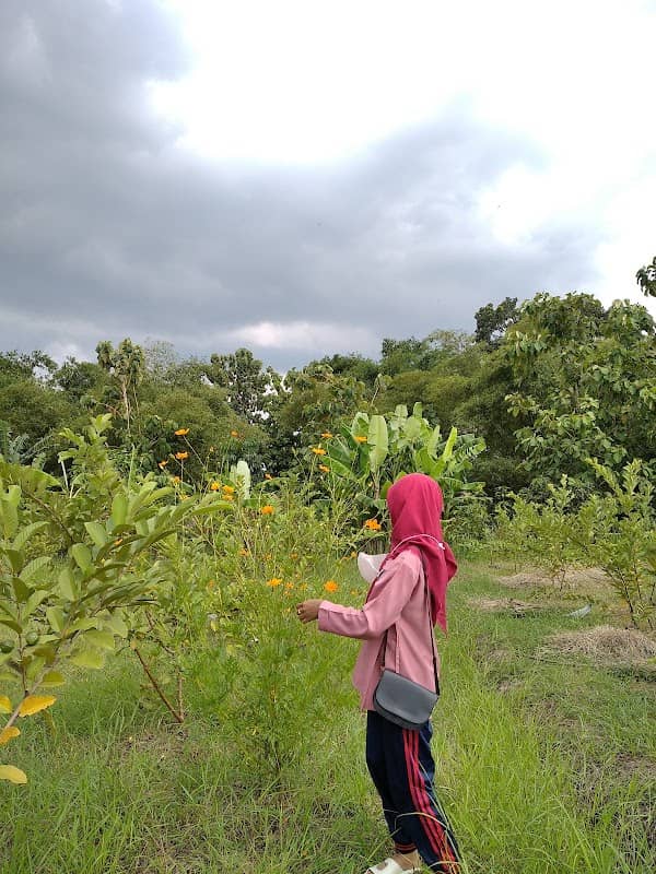 Agrowisata BUMDesa Maju Jaya - Image 1