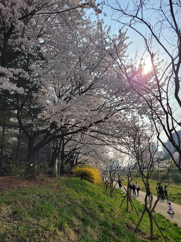 Tongbogcheon - Image 1