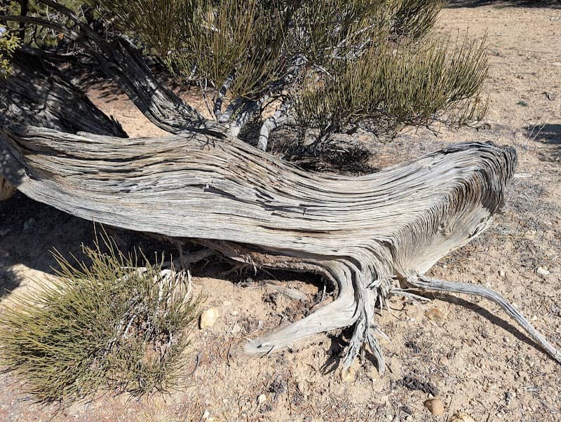 Wyatt's Way Trailhead - Image 2