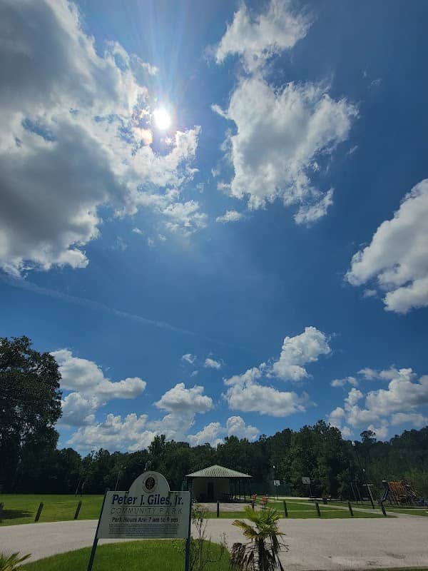 Peter J. Giles Jr. Community Park - Image 1