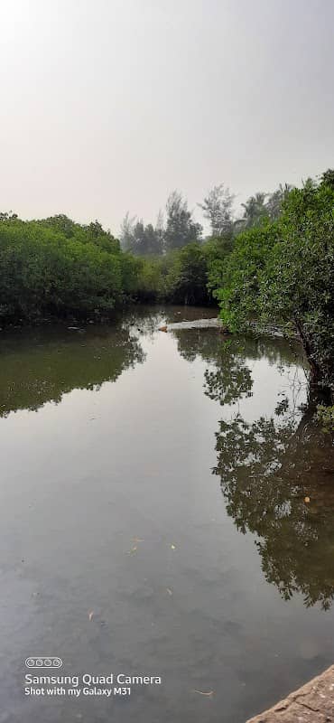View Point - Image 1