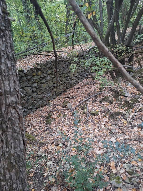 Каменен зид - Image 2