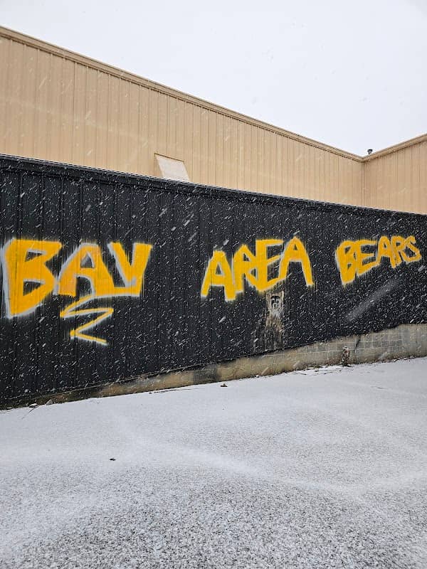 Bay Area Bears Sportsplex - Image 2