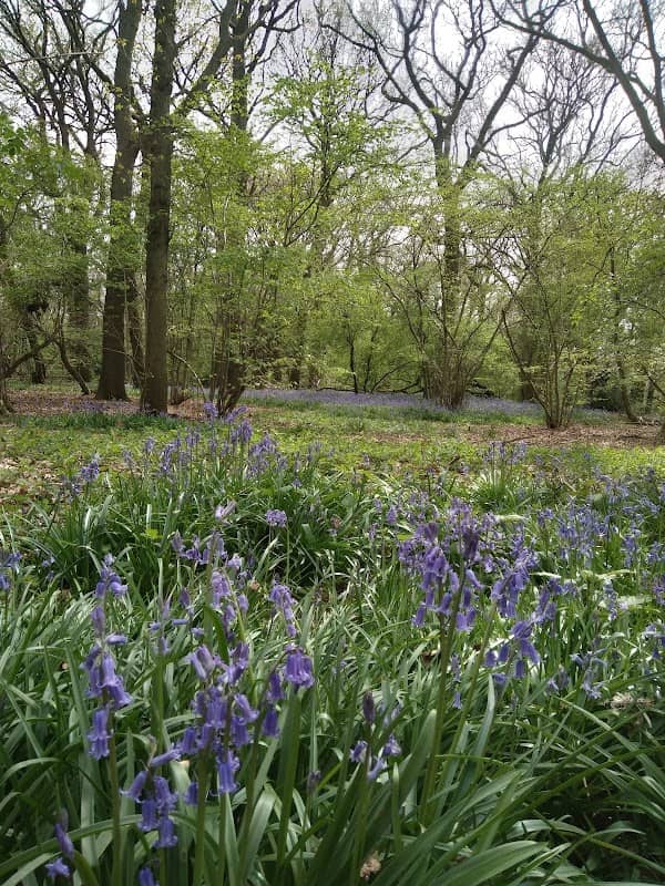 Gregorny Sanctuary - Image 1