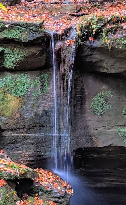 Little Lyons Falls - Image 1