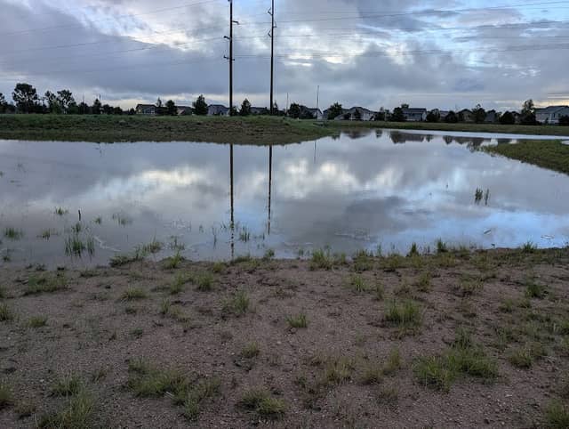 Oak Lake - Image 1