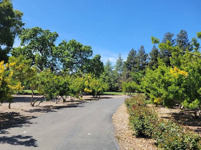 Holbrook Palmer Park - Image 2