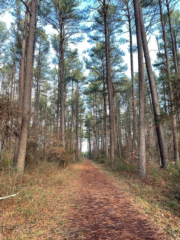 Conway Robinson SF Trailhead - Image 2
