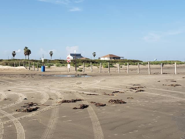 Jamaica Beach City Park - Image 1
