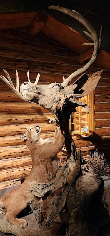 Draper Natural History Museum - Image 2