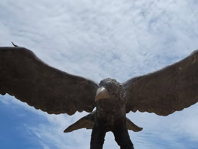Sandy Brennan Park - Image 1