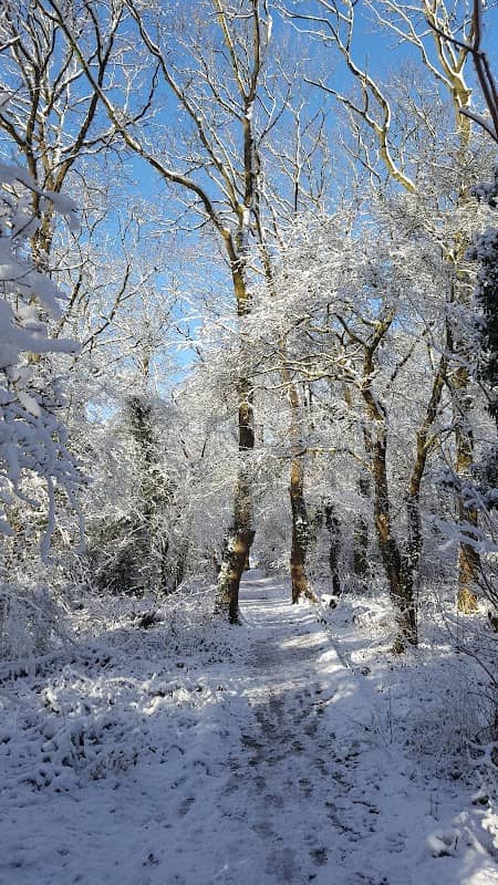 Highway Spinney - Image 1