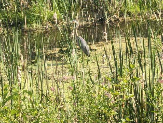 Erie Canal Trail - Image 1