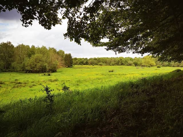 Groeve Sweijer - Image 1