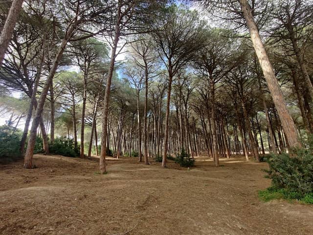 Picnic Area Rimel - Image 1