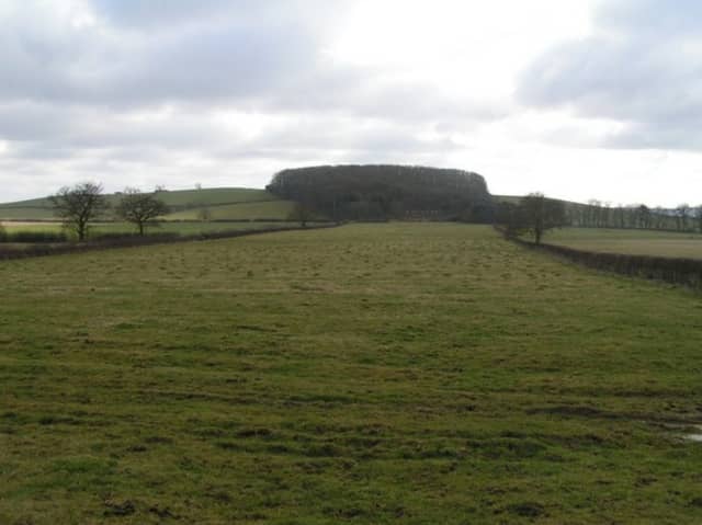Old Rifle Range, Nobottle - Image 2