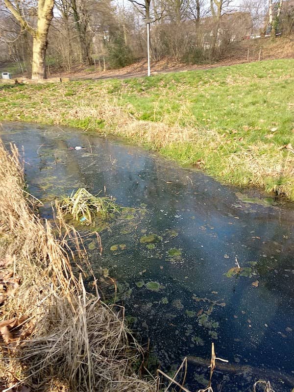 Park Seghwaert - Image 1