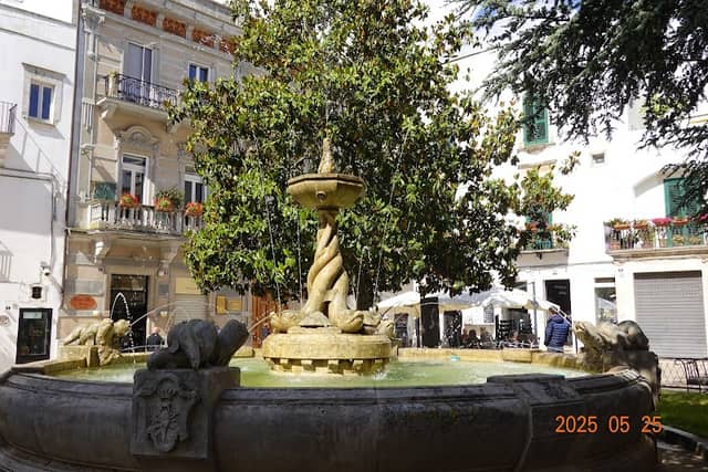 Fontana dei Delfini - Image 1