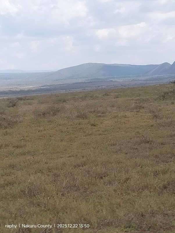 Soysambu Conservancy Main Gate - Image 2