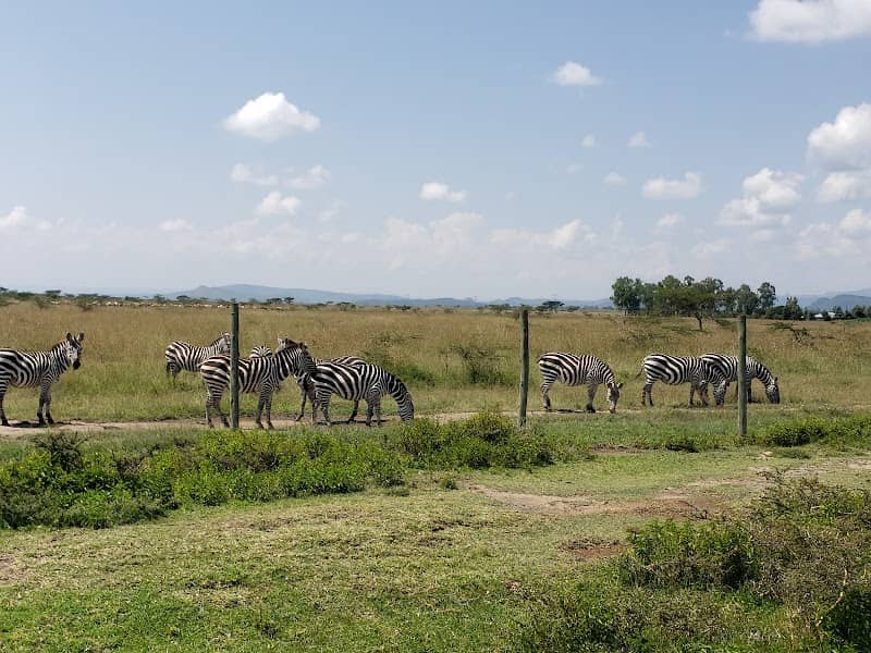 Soysambu Conservancy Main Gate - Image 1