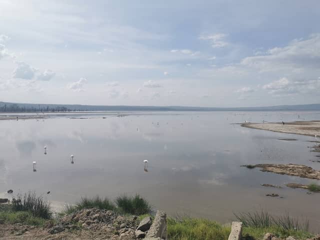 Rhino Point - Image 3