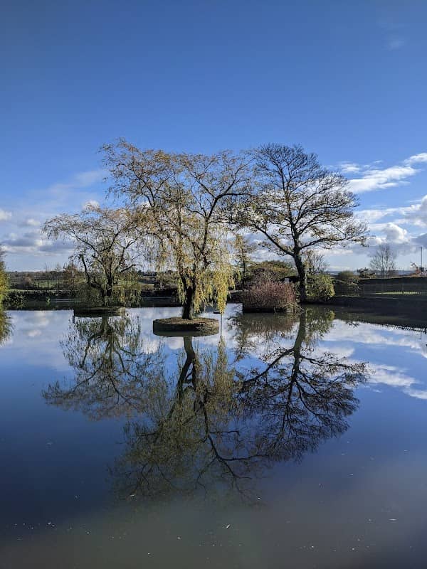 Winterbourne Duck Pond - Image 1