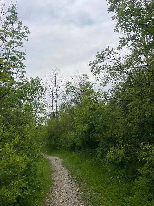 Grobschmidt Park - Image 1