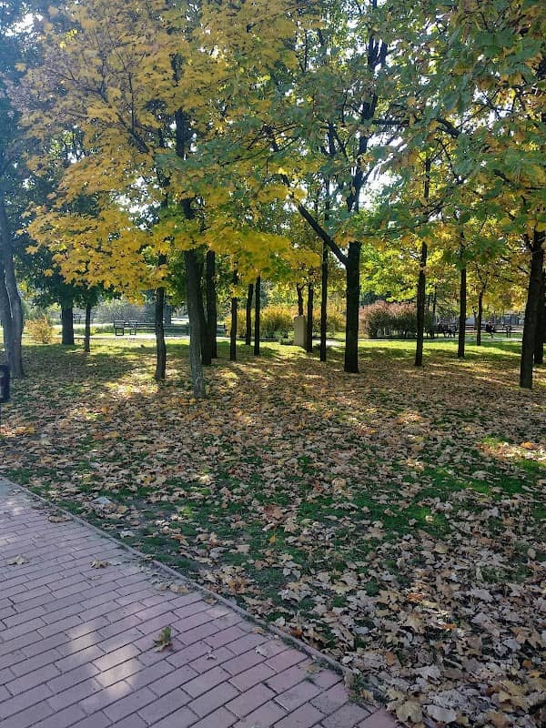 Park Pam'yati - Image 1