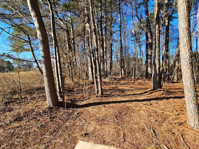 Ridge Lake Park - Image 3