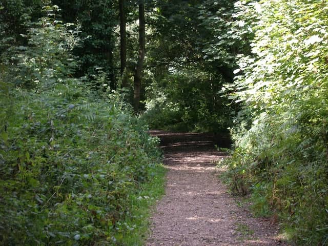 The Queen's Inclosure - Image 2